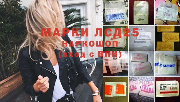 прущие грибы Нягань