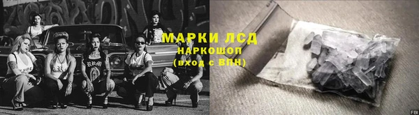 прущие грибы Нягань