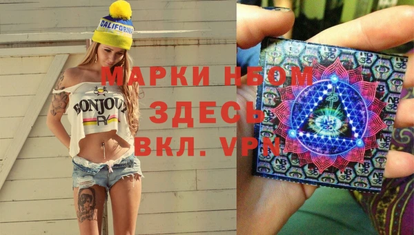 прущие грибы Нягань