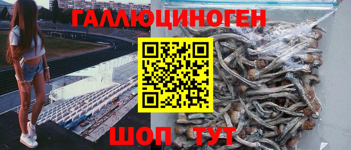 Галлюциногенные грибы мухоморы  Белореченск  Псилоцибиновые грибы прущие грибы 