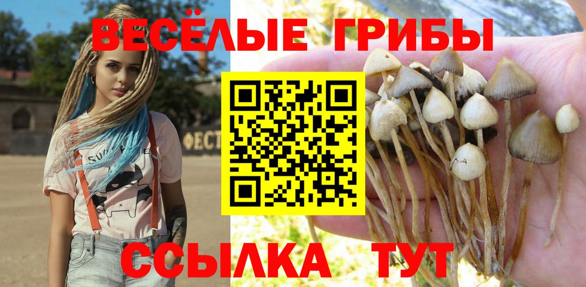 Псилоцибиновые грибы мухоморы Белореченск