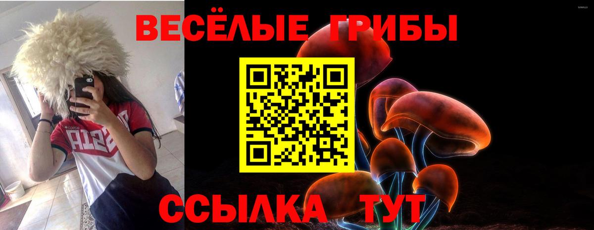 Псилоцибиновые грибы Cubensis  Вход с VPN  Белореченск 