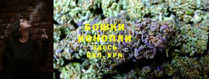 kraken   Белореченск  Каннабис SATIVA & INDICA 